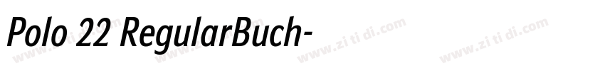 Polo 22 RegularBuch字体转换 Polo 22 RegularBuch字体转换